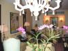 Orchids_thumb.jpg 3.2K