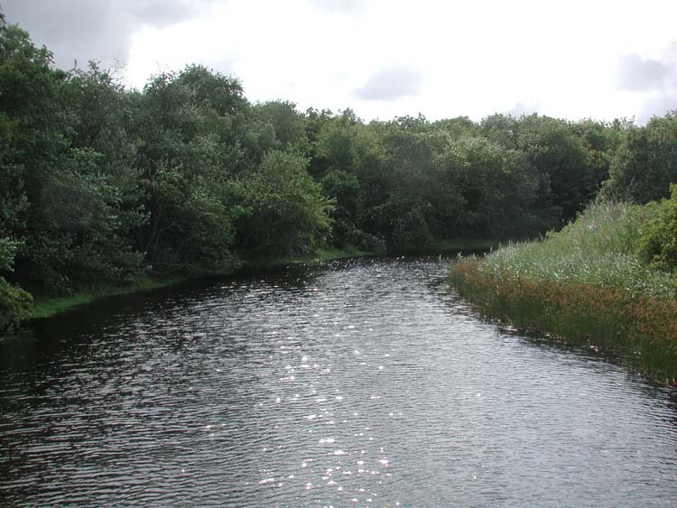 http://www.ginnisw.com/Dwyer%20Farm/River%20at%20Dwyer%20Farm%207.jpg