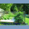 Vegetable Garden 2.jpg 390.1K