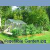 Vegetable Garden.jpg 435.7K