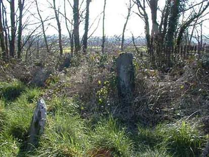 Bradfield plot Murragh Cemetary 2.jpg 55.8K