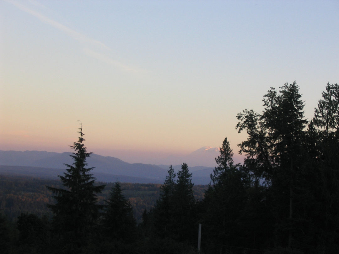 Twilight.jpg 493.2K