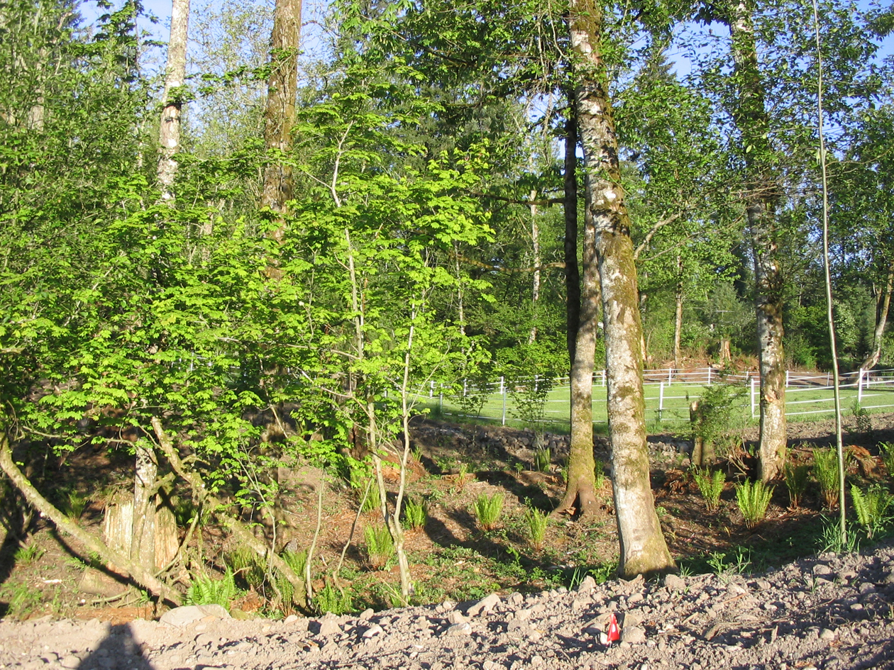 landscaping.jpg 1727.1K