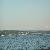 Eagle over Rainier_thumb.jpg 1.1K