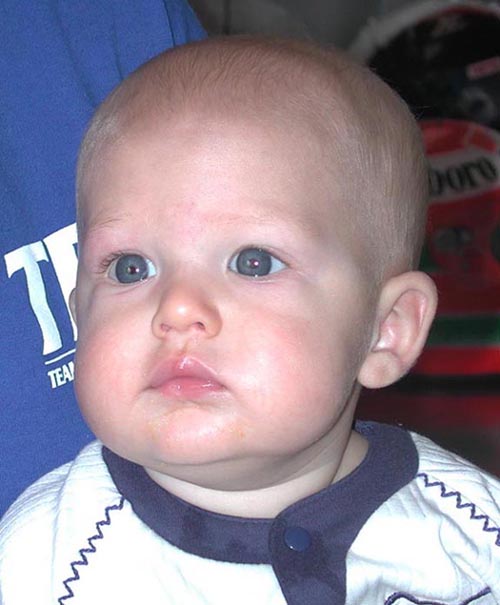Spencer close up 2.jpg 45.6K
