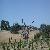 Vineyards at Pierre's 3_thumb.jpg 1.4K