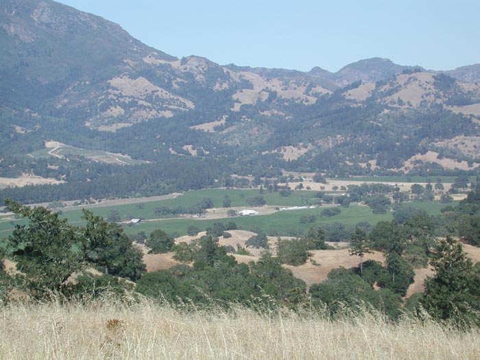View from Pierre's 4.jpg 80.6K