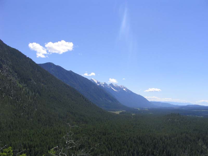 IMG_0700